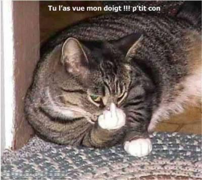 tien
