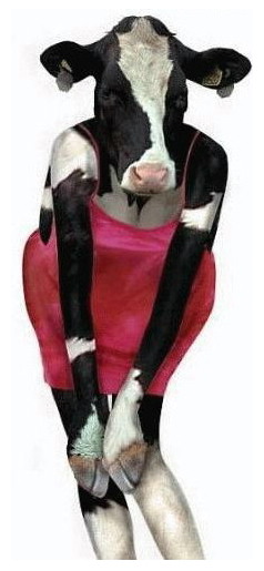 la vache la plus sexy